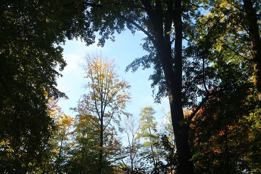 Goldener Herbst im B&auml;renpark Worbis