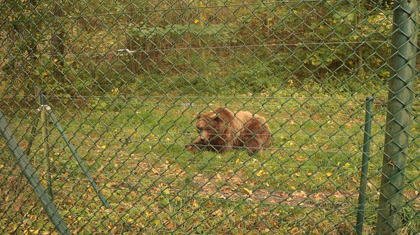 Goldener Herbst im B&auml;renpark Worbis
