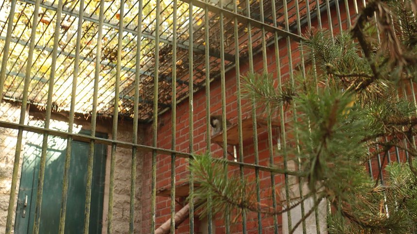 Goldener Herbst im B&auml;renpark Worbis
