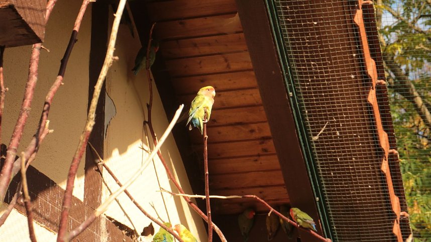 Goldener Herbst im B&auml;renpark Worbis