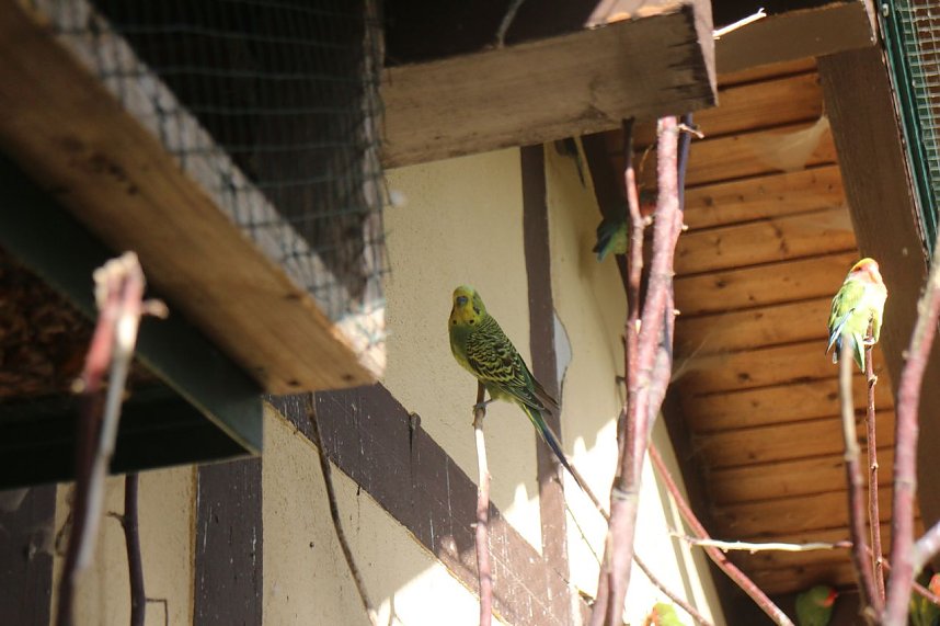 Goldener Herbst im B&auml;renpark Worbis