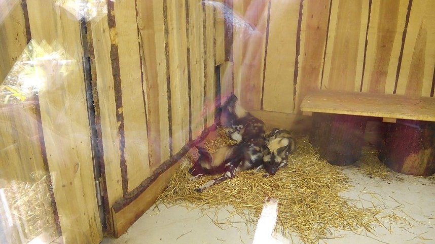 In Magdeburg unterwegs