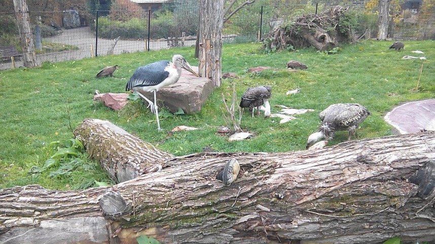 In Magdeburg unterwegs