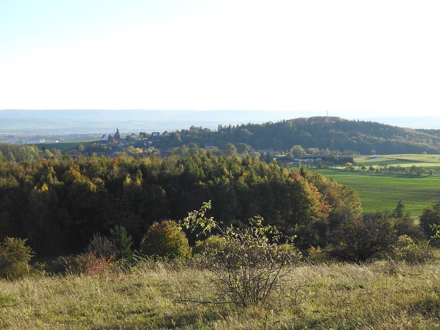 Pilze und Sonne bei Petersdorf