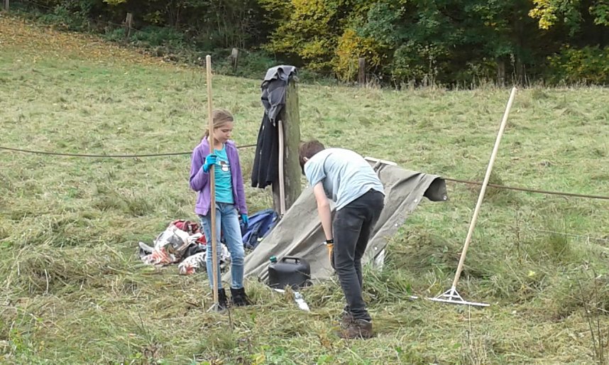Jugendliche erhalten die Artenvielfalt