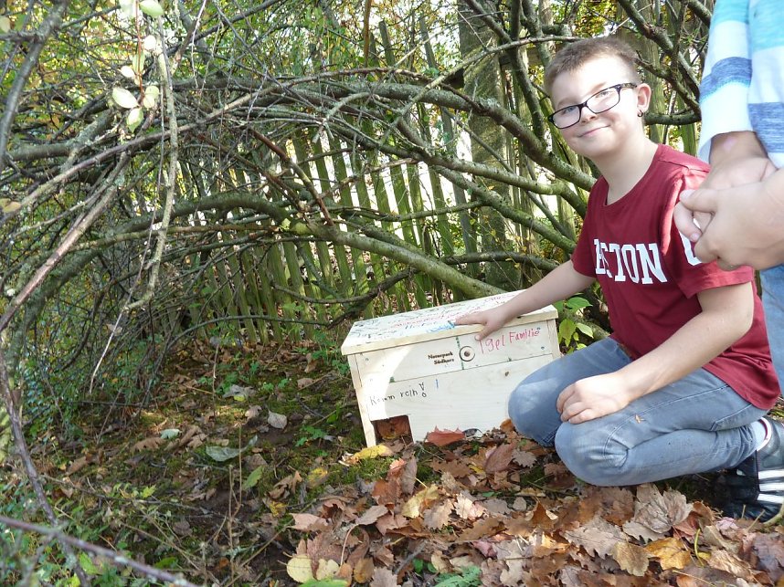 Schutz f&uuml;r Igel gebaut