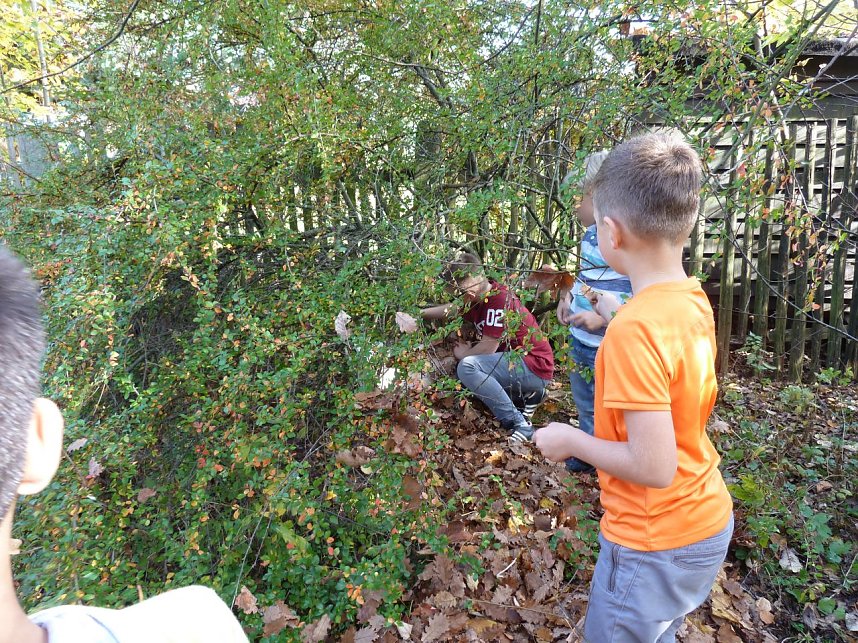 Schutz f&uuml;r Igel gebaut