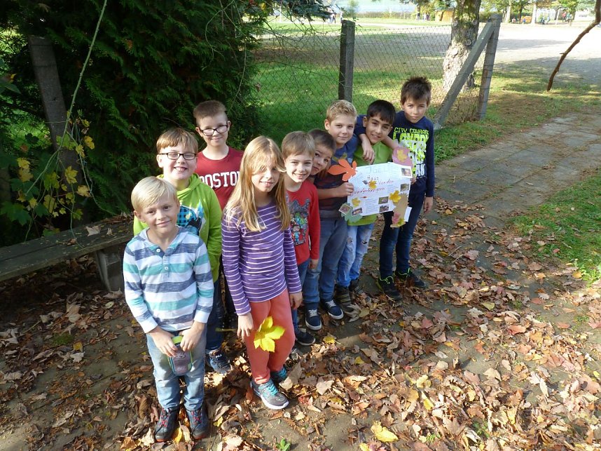 Schutz f&uuml;r Igel gebaut