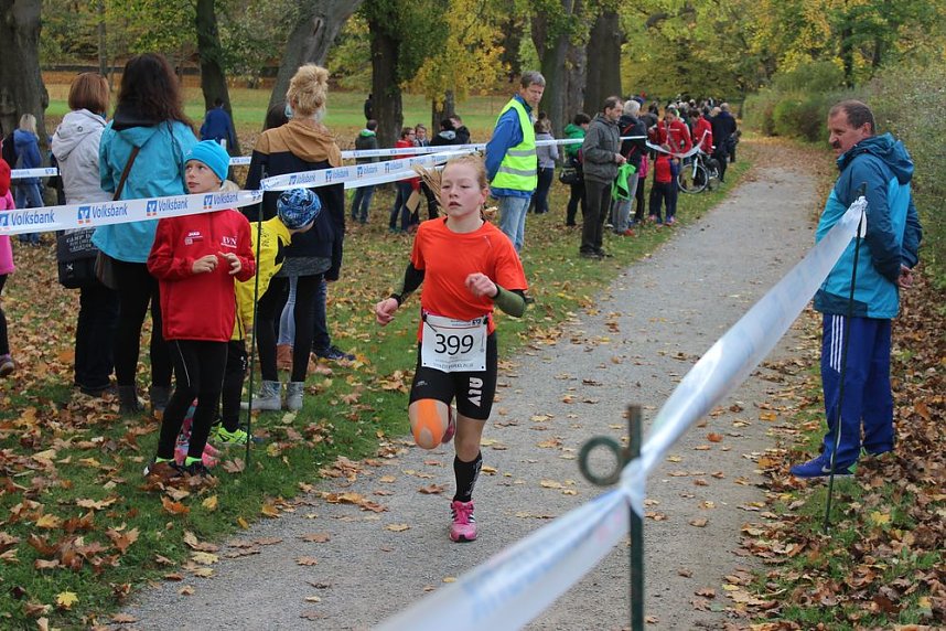24. Stadtparklauf in Sondershausen (1)