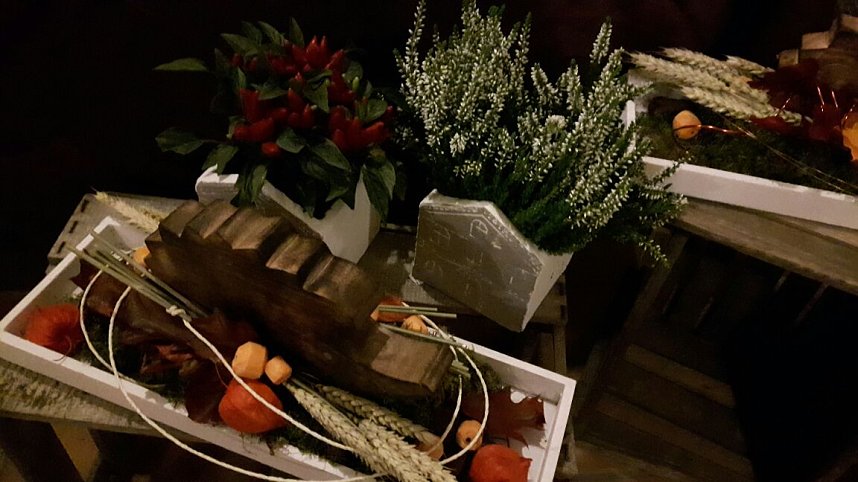 Kranichwanderung in Auleben voller Erfolg