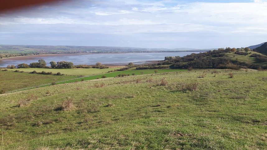 Kranichwanderung in Auleben voller Erfolg