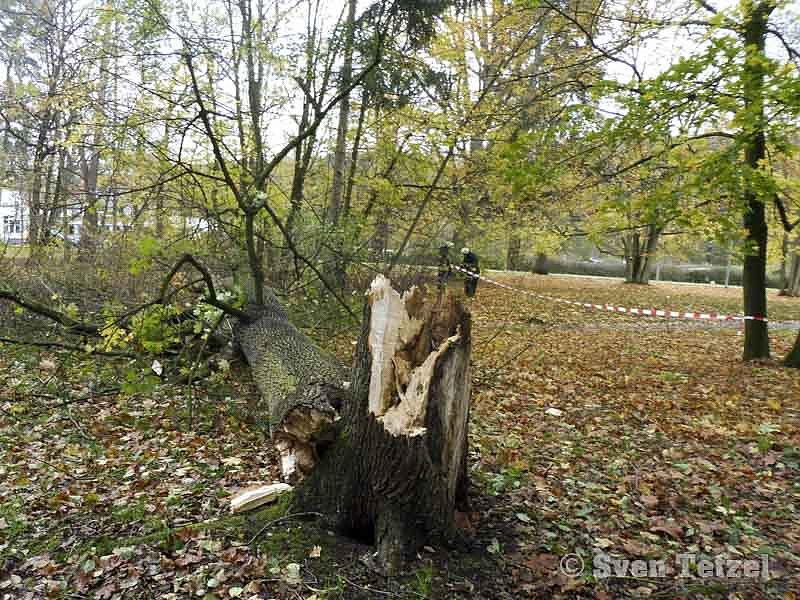 Die Spur von "Herwart"