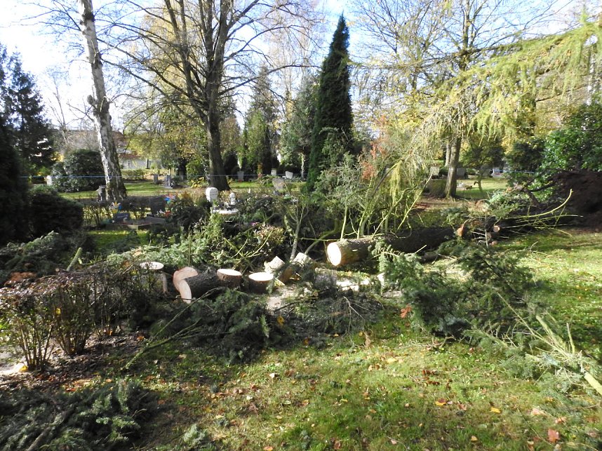 Aufr&auml;umarbeiten auf dem Hauptfriedhof