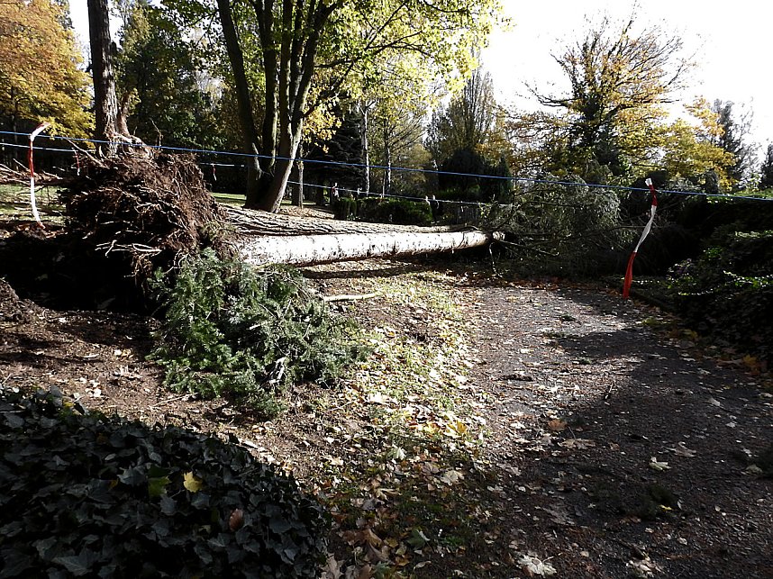 Aufr&auml;umarbeiten auf dem Hauptfriedhof