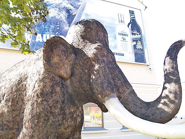 Brandanschlag auf "Ur-Einwohner"