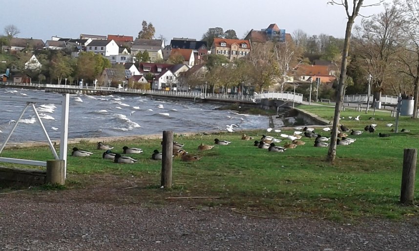 100 km mit Sturm Herwart