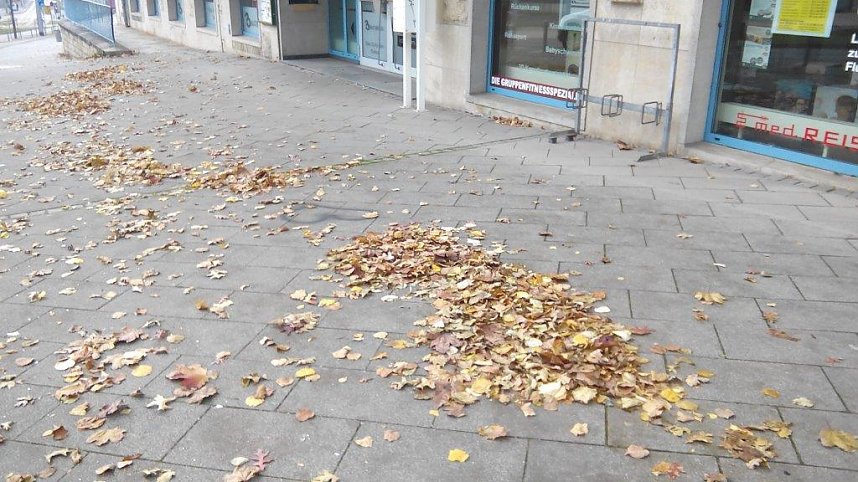 Laubreich  sah es vor dem Objekt Carpe Diem dieser Tage aus.