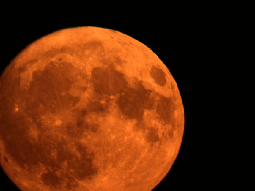 Das volle Kontrastprogramm