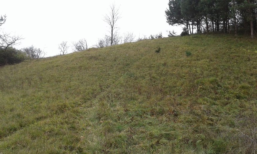 Gem&auml;ht und entbuscht