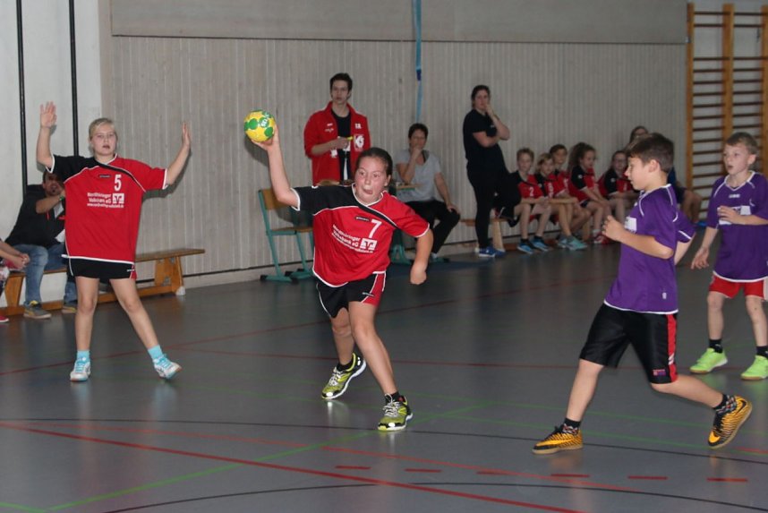 Handball Nachwuchs - der erste Sieg der Saison geht an Petersdorf