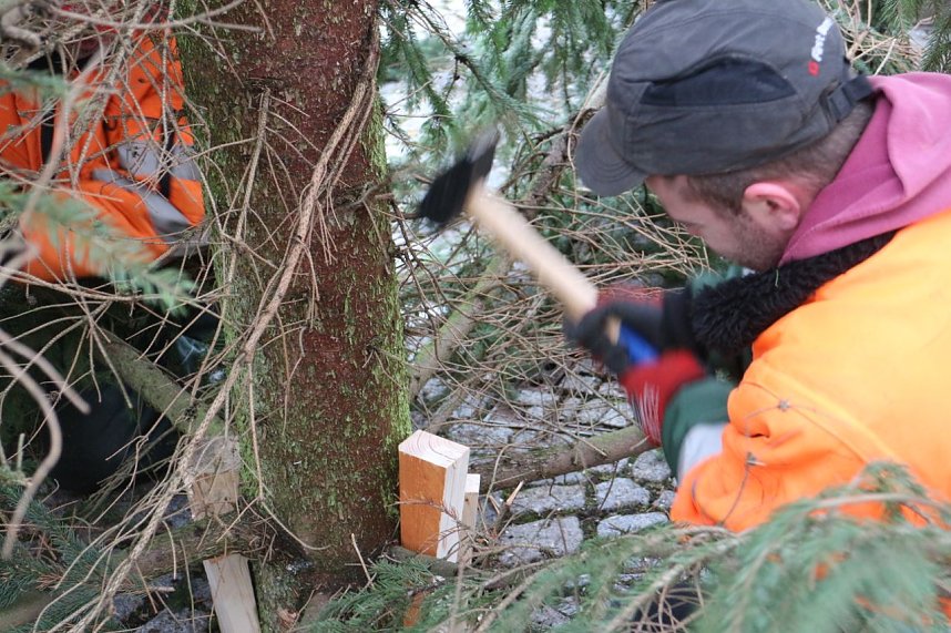Weihnachtsbaum vor dem Nordh&auml;user Rathaus