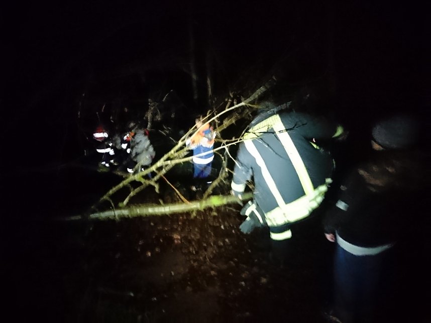 Nachtwanderung der Jugendfeuerwehren