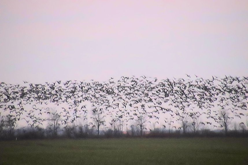 Was f&uuml;r ein grandioses Schauspiel...