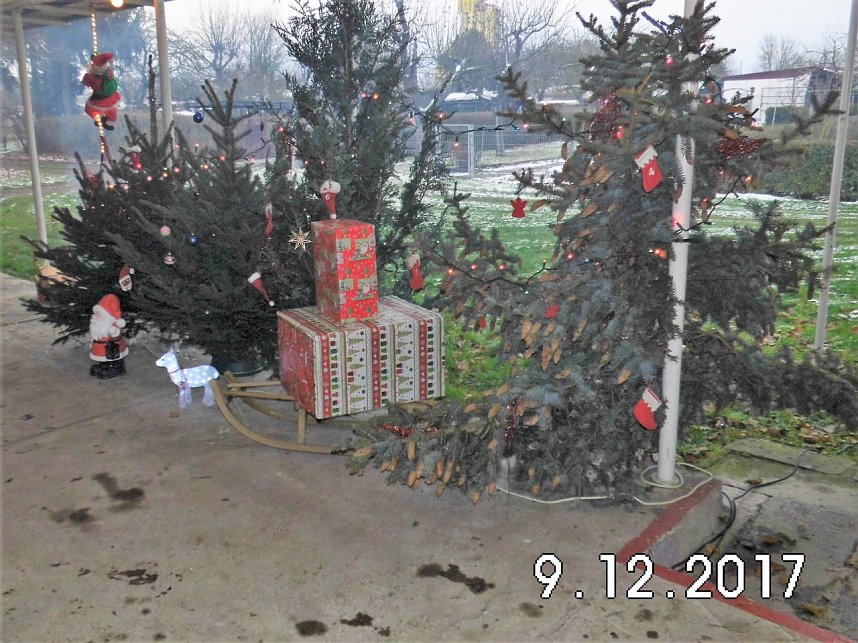 Nikolaus im Kleingarten