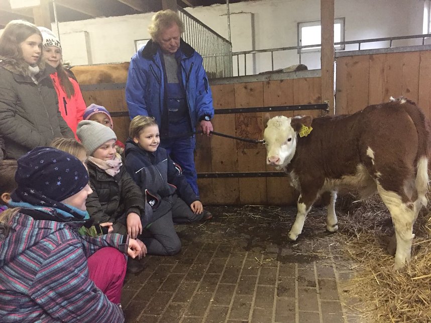 "Lasse" hei&szlig;t das K&auml;lbchen
