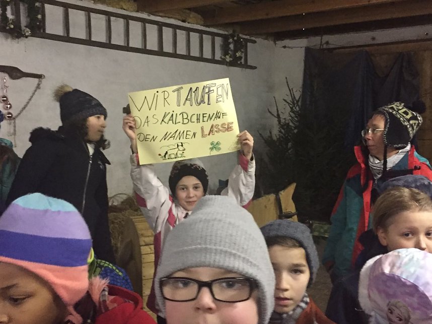 "Lasse" hei&szlig;t das K&auml;lbchen