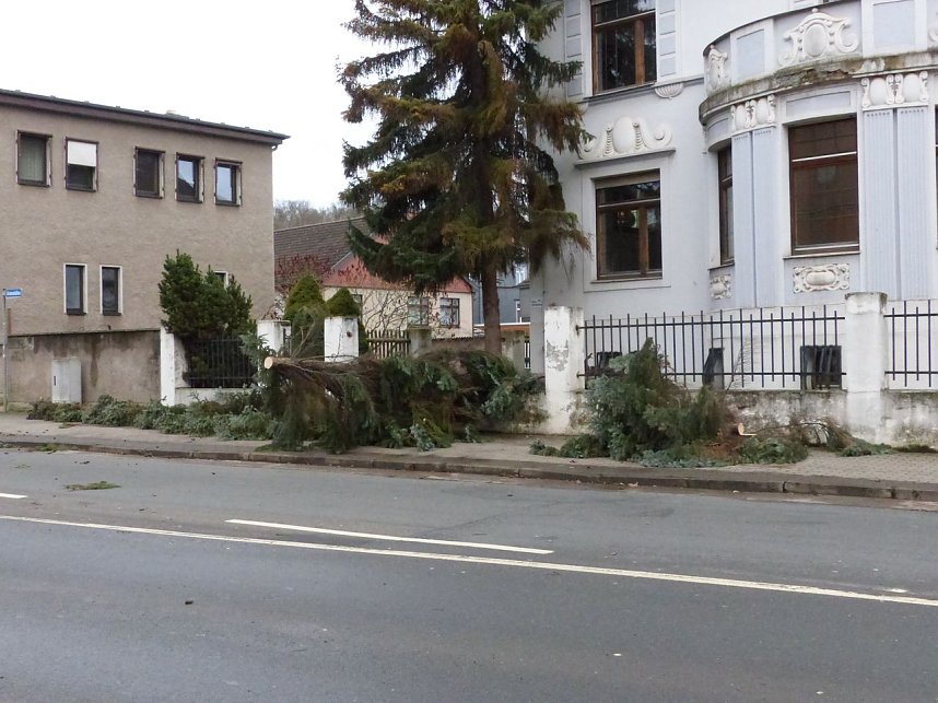 Hier hat die Feuerwehr schon aufger&auml;umt - Grimmelallee