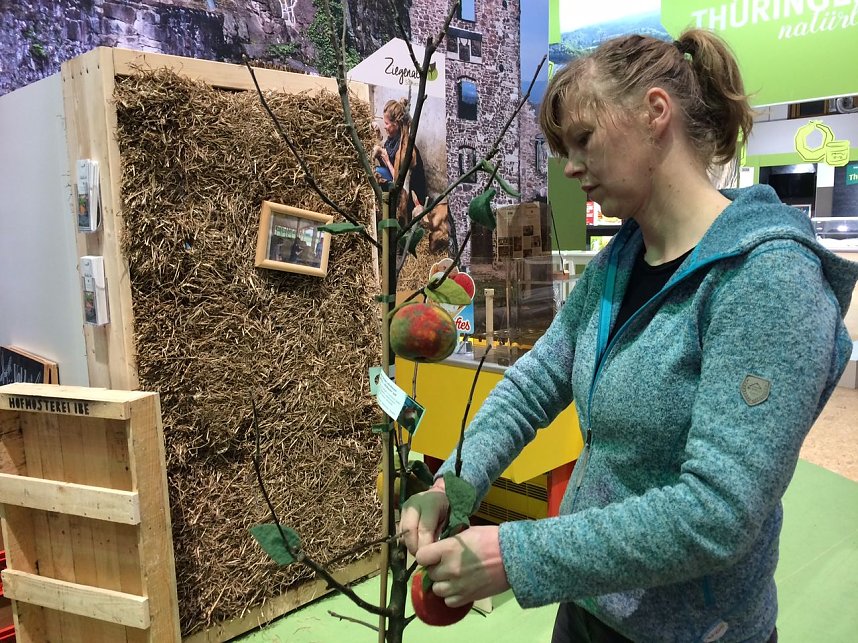 Aufbau auf der Gr&uuml;nen Woche in Berlin