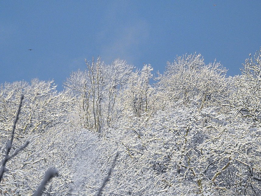Winter in Nordhausen