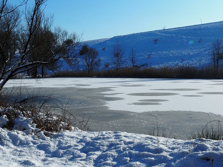 Winter am Hirschenteich