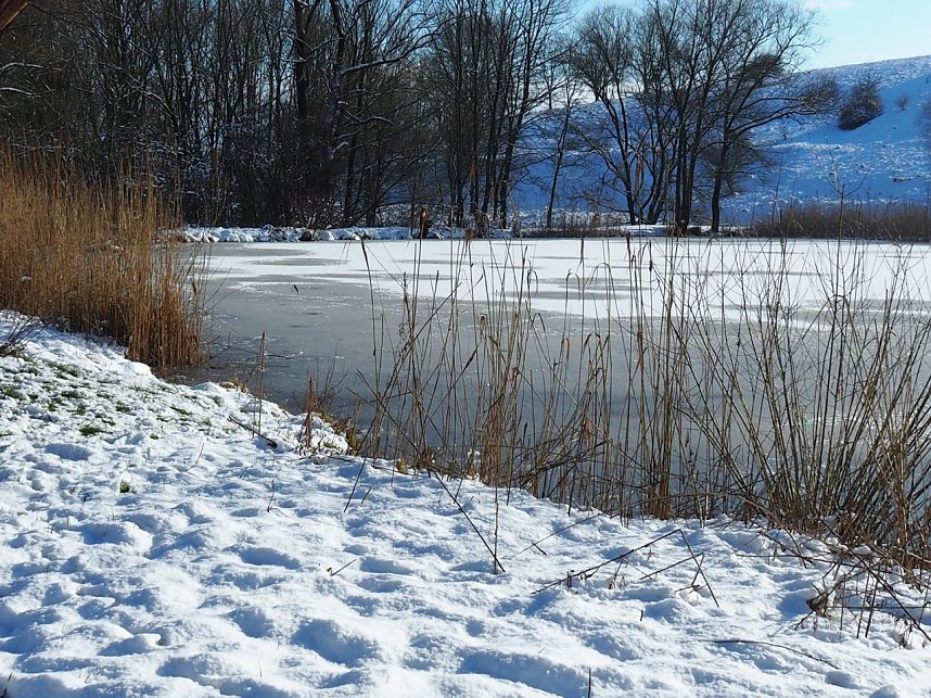 Winter am Hirschenteich