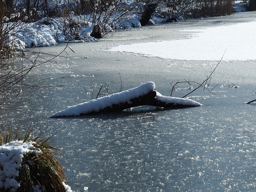 Winter am Hirschenteich