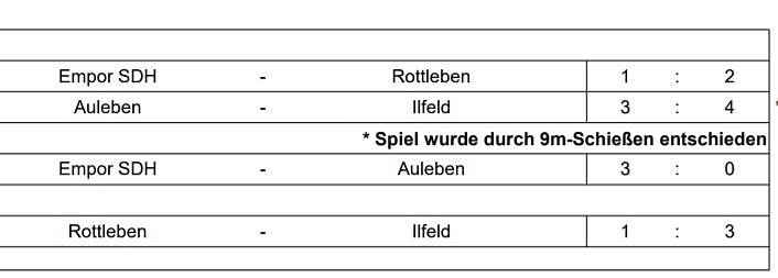 SV Ilfeld neuer Futsal Meister