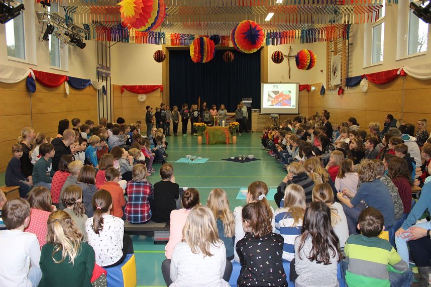 Sonnenblumen im Winter