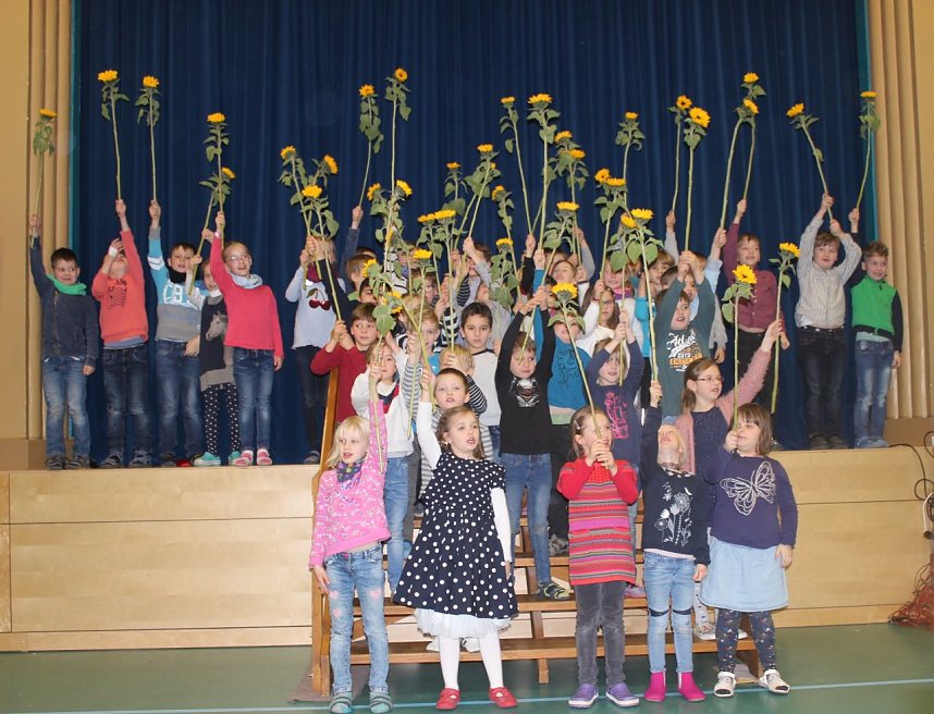 Sonnenblumen im Winter