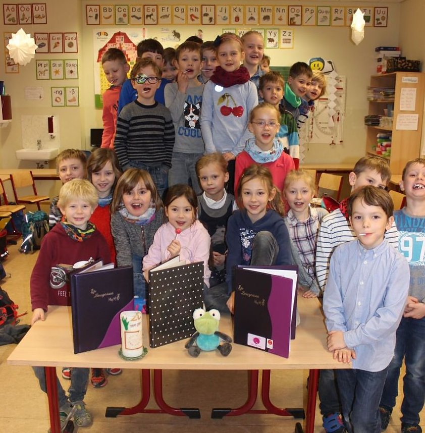 Sonnenblumen im Winter