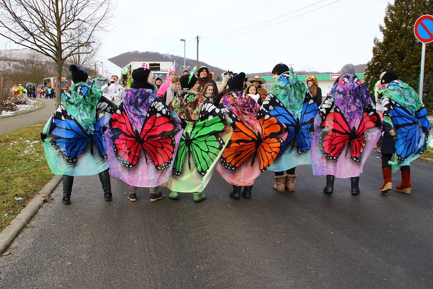 50 Jahre Karneval in Sollstedt