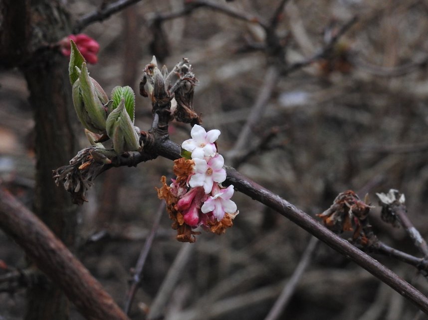 Interessanter Rundgang im Stadtpark
