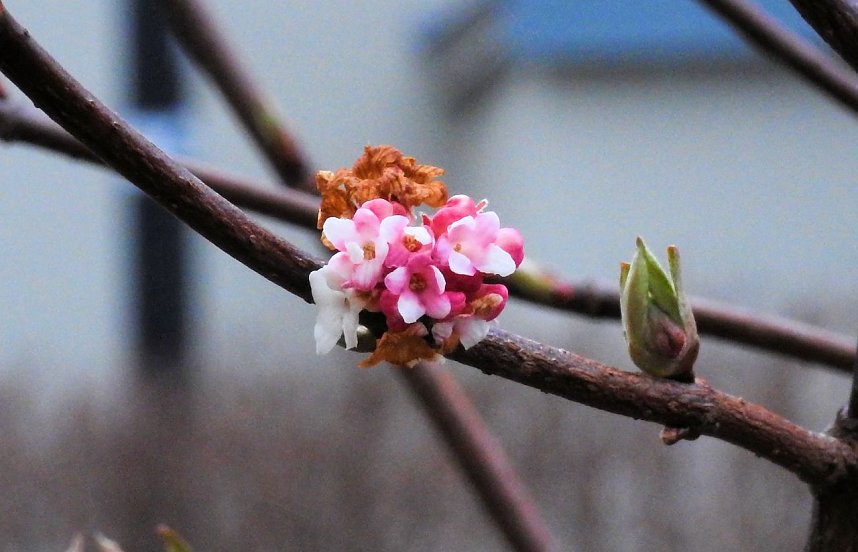 Interessanter Rundgang im Stadtpark