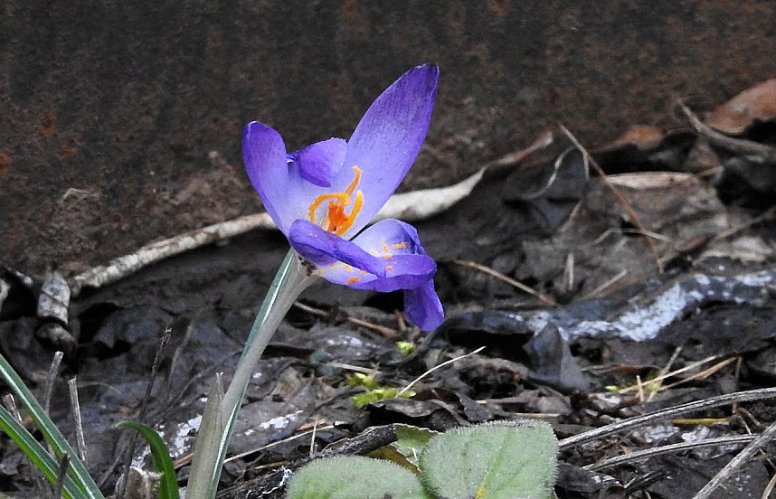 Interessanter Rundgang im Stadtpark