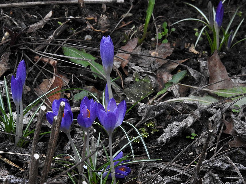 Interessanter Rundgang im Stadtpark