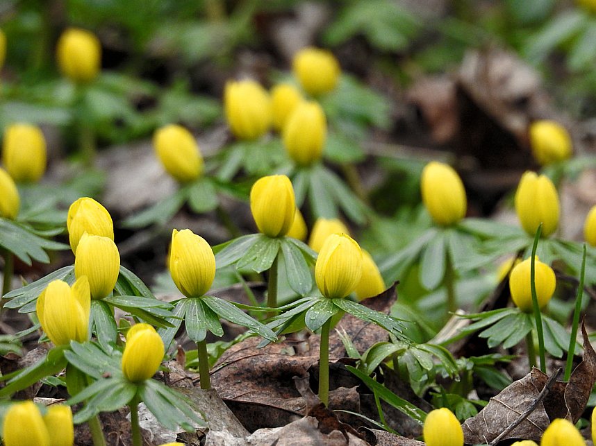 Interessanter Rundgang im Stadtpark