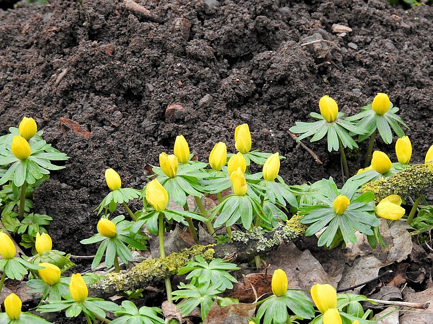 Interessanter Rundgang im Stadtpark