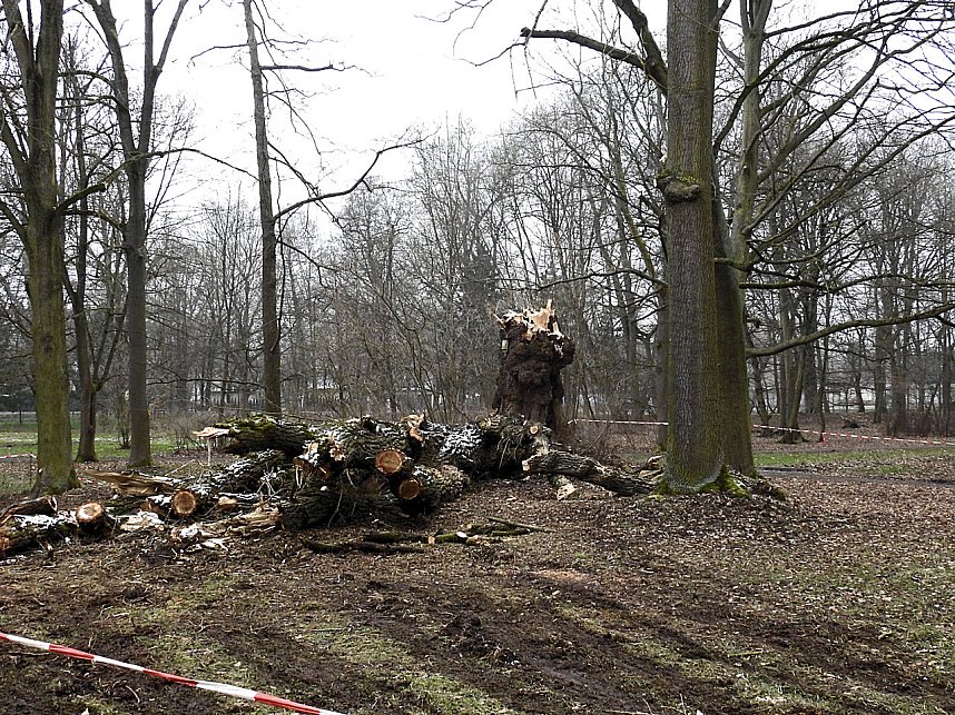 Interessanter Rundgang im Stadtpark