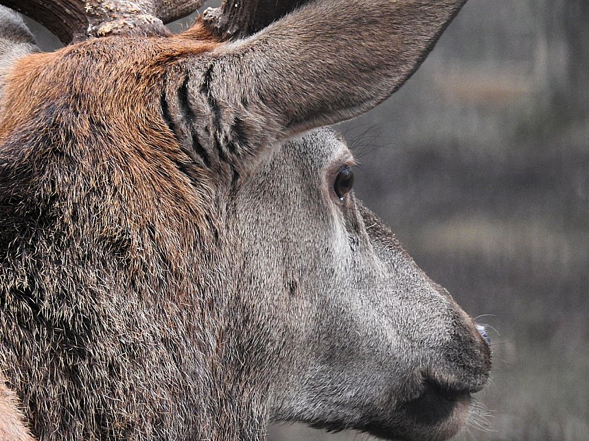 Interessanter Rundgang im Stadtpark