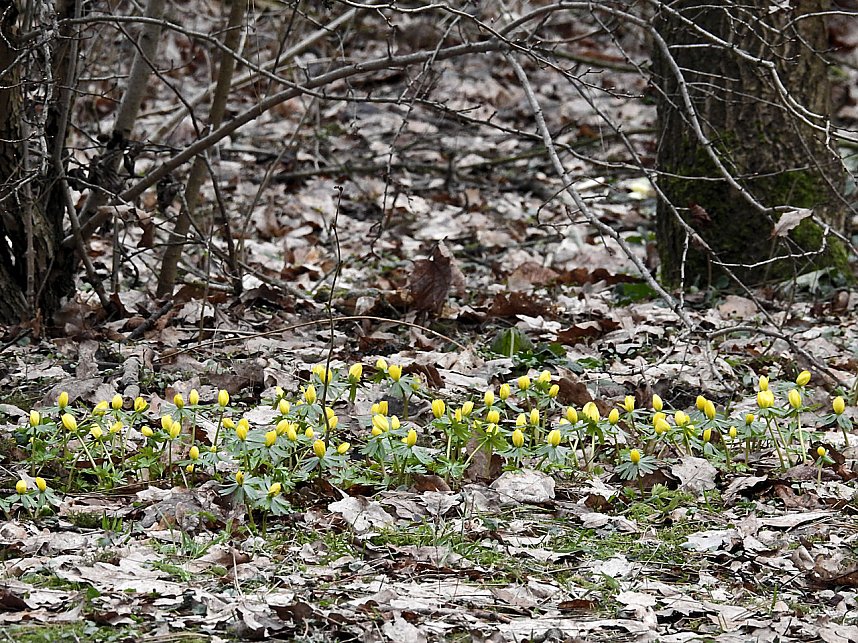 Interessanter Rundgang im Stadtpark